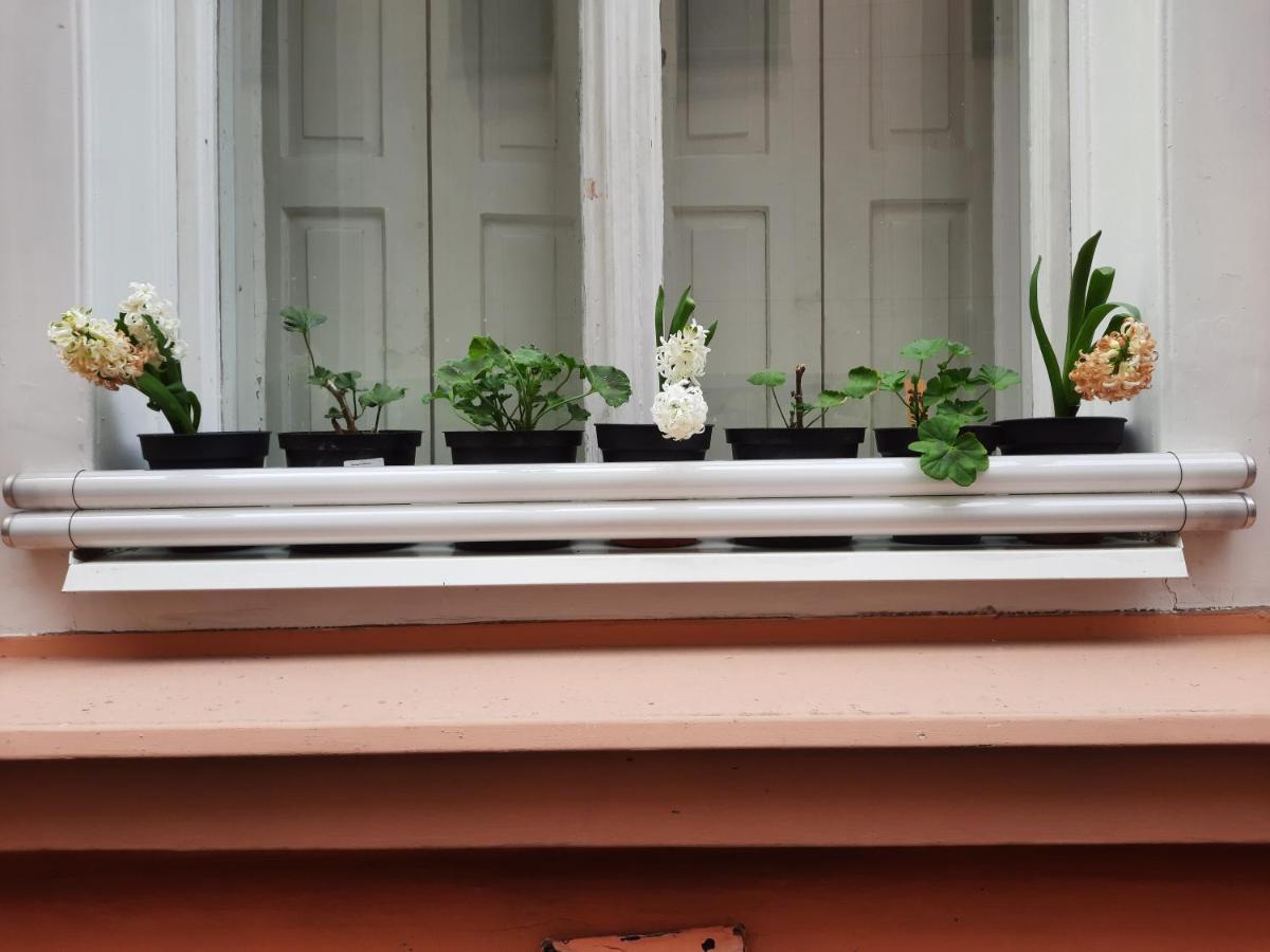 Downtown Minimalistic In Flatshare Prague