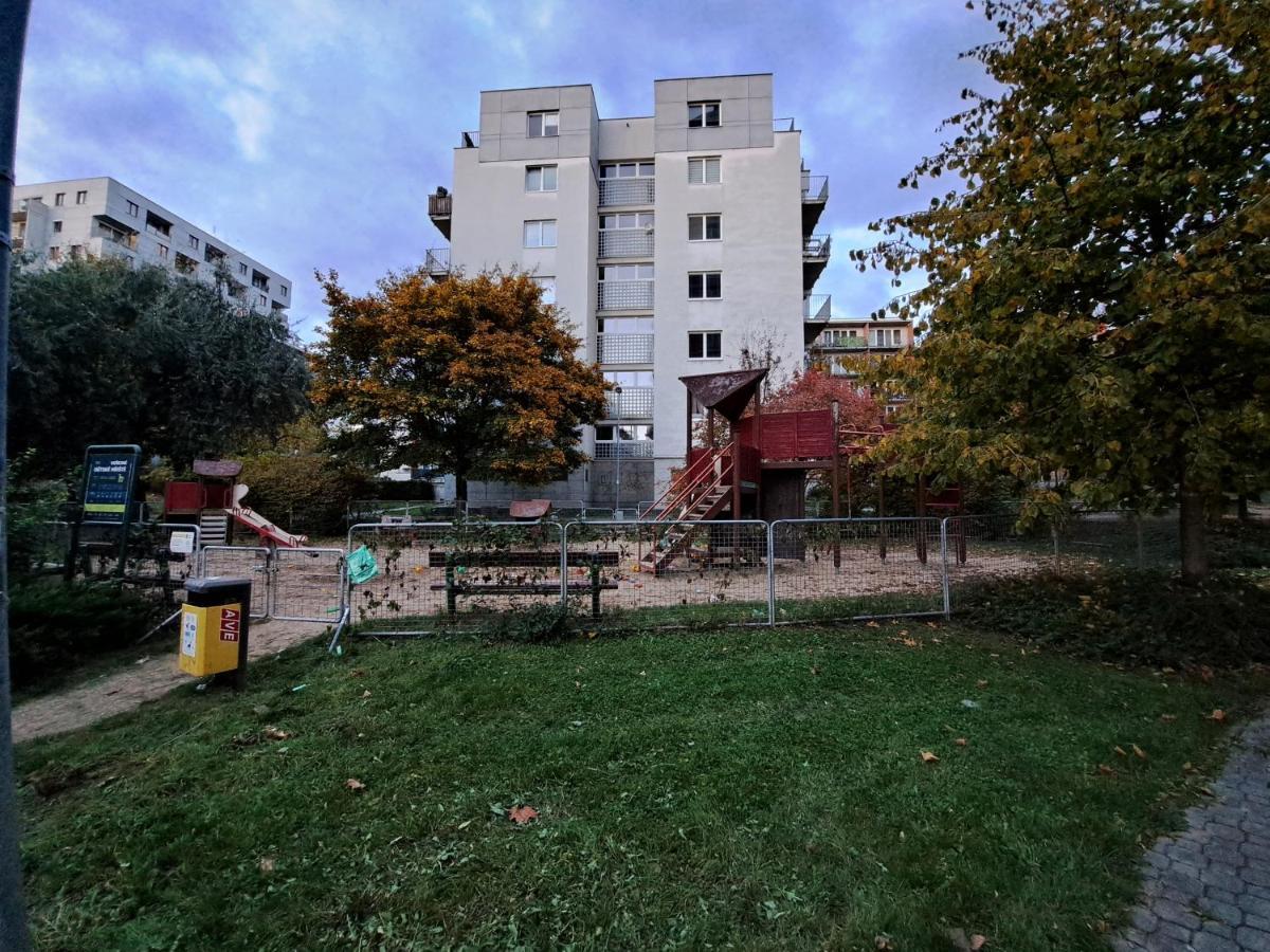 Golden Daire *