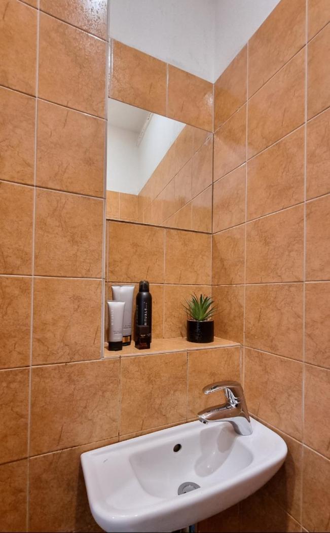 Finnem Zikova Apartment Prag