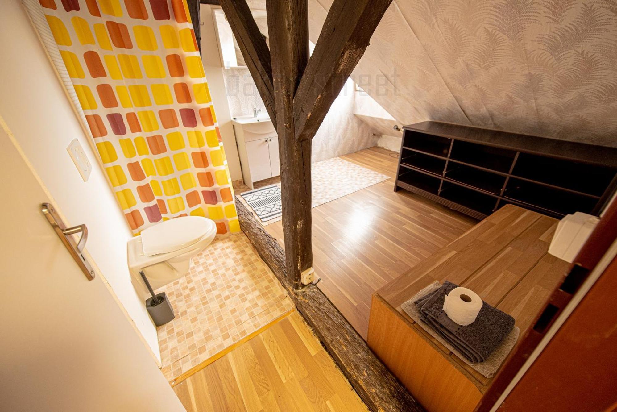 Attic 3 Bedrooms With 2 Bathrooms Apartment Prague