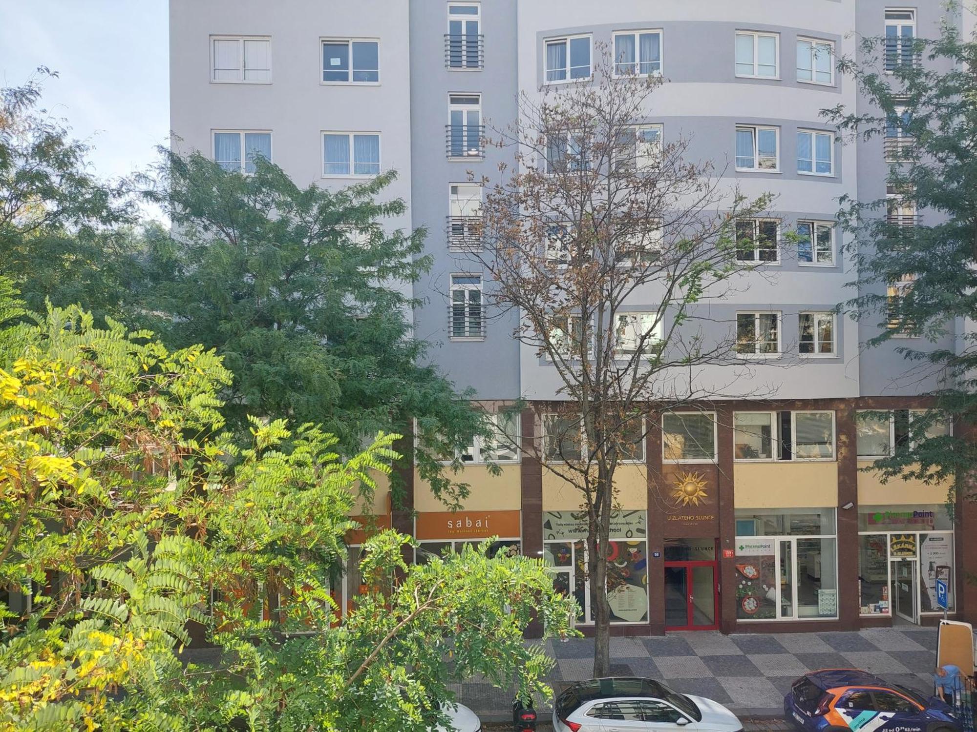 Apartment Luxury & Air-conditioned Osko Near The Center Prague