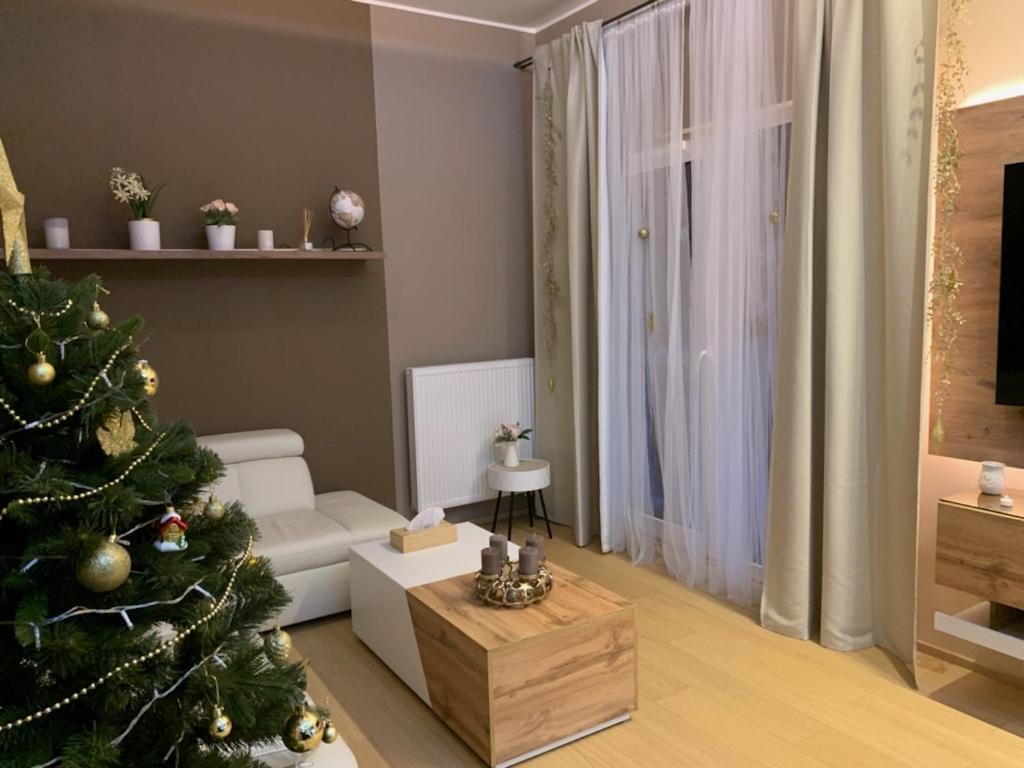 Dagmar Buresove Appartement *