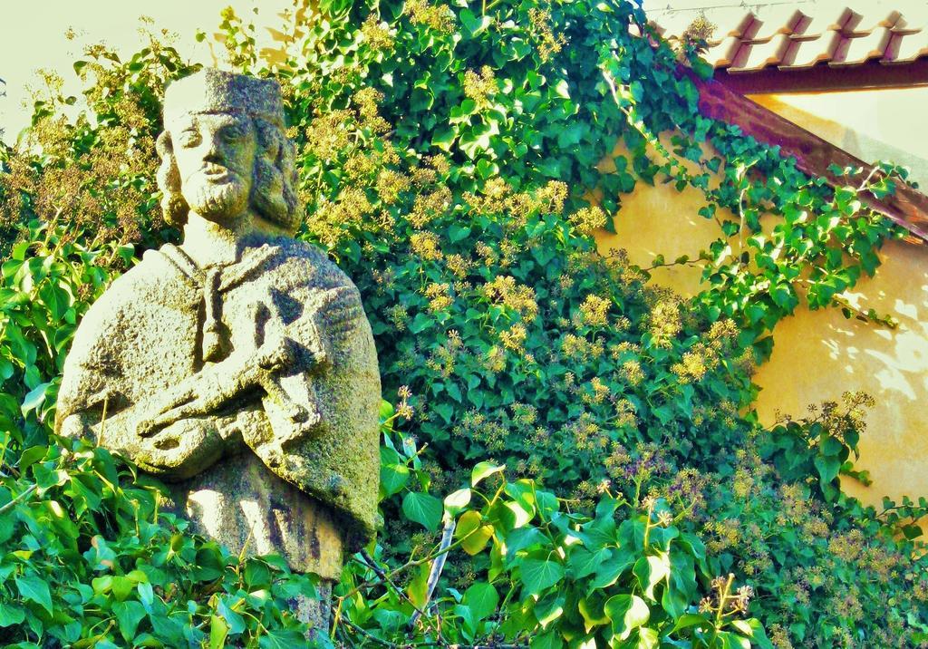 Garden Castle Appartement