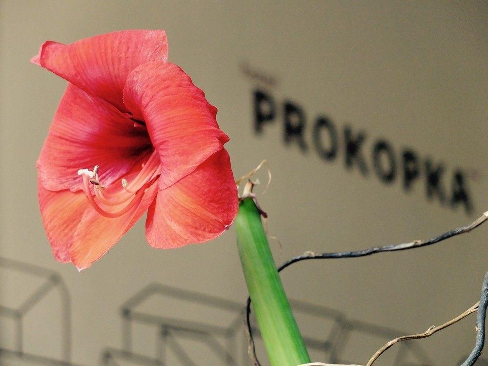 Prokopka 2* Prague