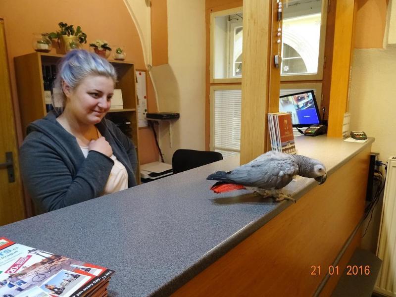 U Dvou Zlatych Klicu Hotel Prague