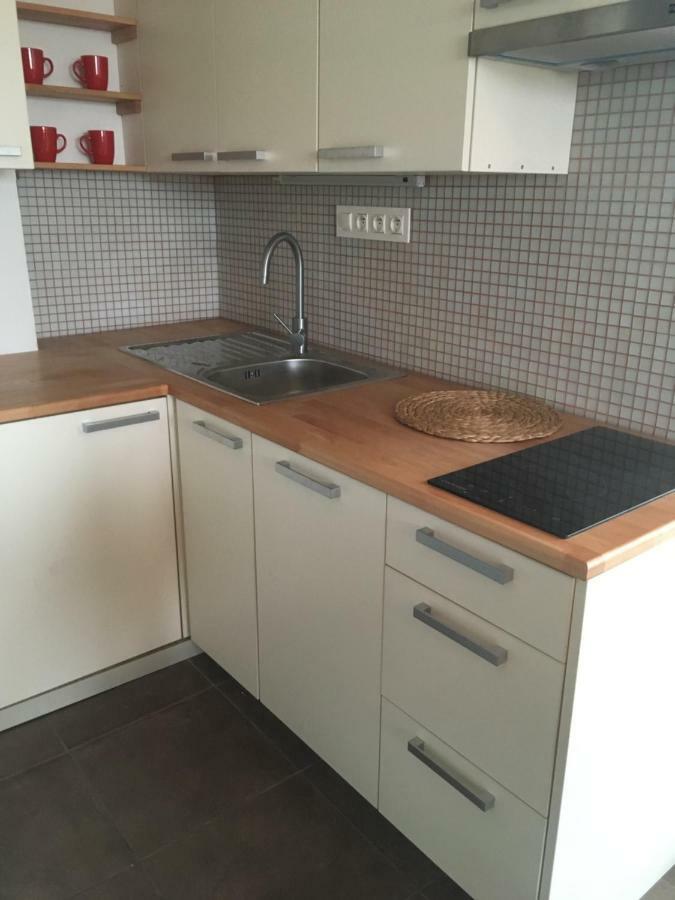 Light Cozy Flat Large Terrace Near Castle Apartment Prague