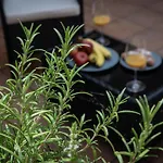 White Swan Boutique Apartments