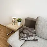 Apartment Krakovska 5