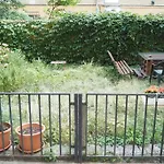 Cozy Apartment With A Garden, In The City Center!