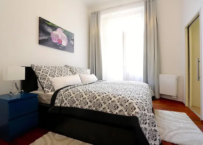 Luxurious Apartment In Parizska Street