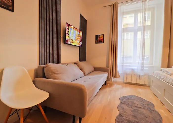 Spacious Apartment In The Center Of Prague