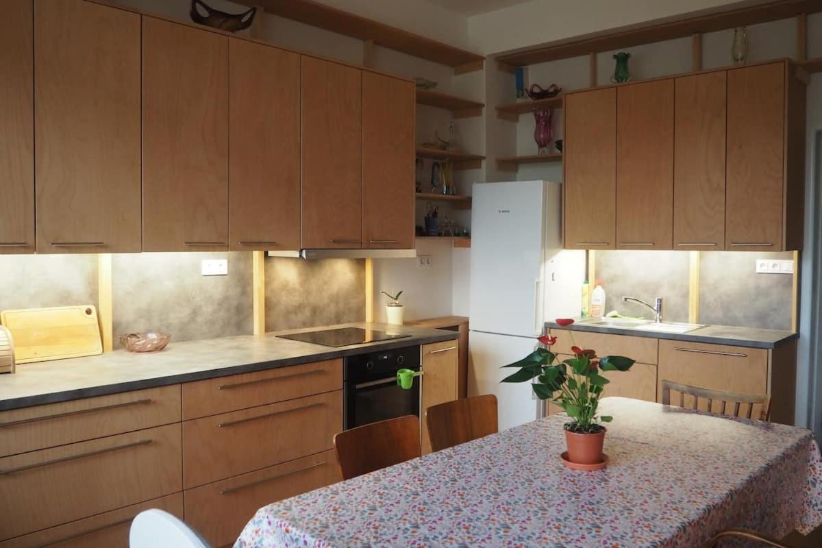 Apartamento Rodinny V Centru Prahy