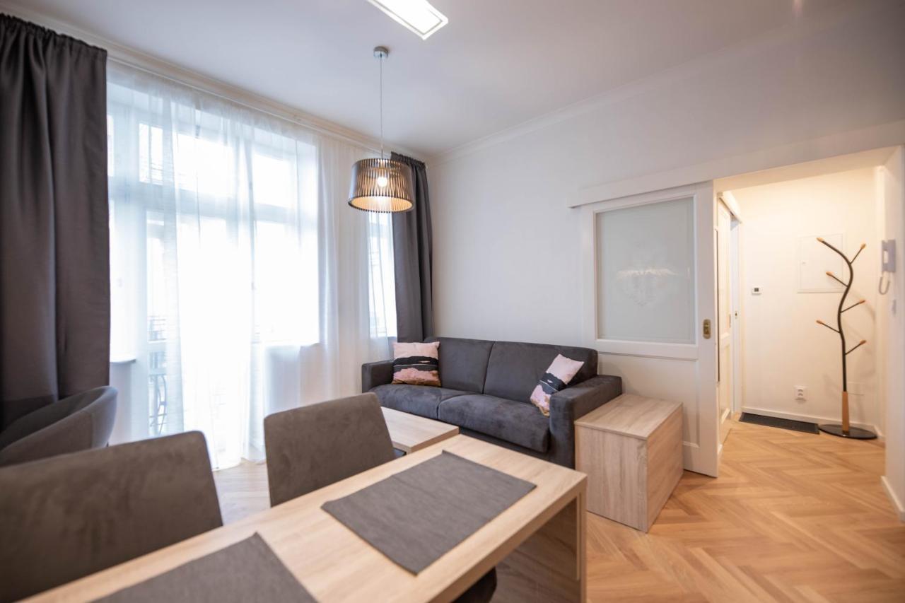Friendly In Apartment Prague