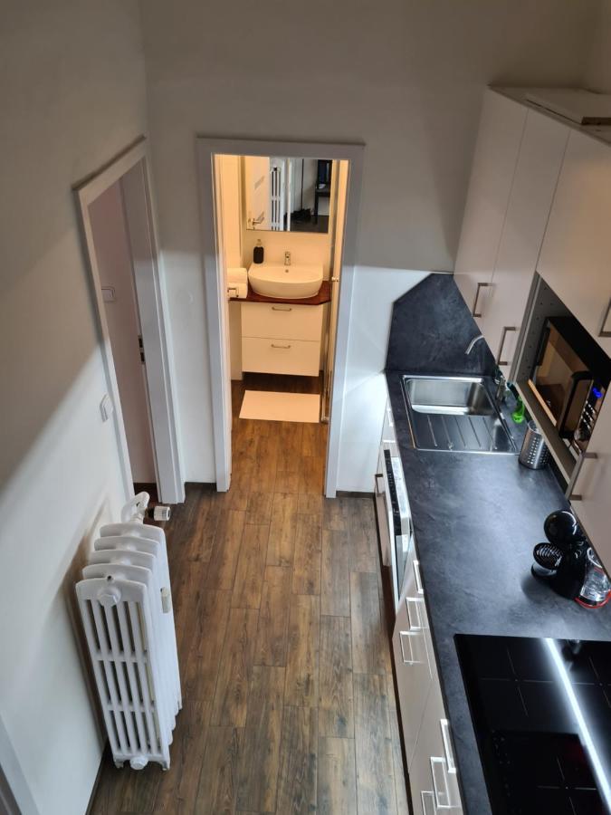 Svetly Prostorny Byt V Karline Apartment Prague