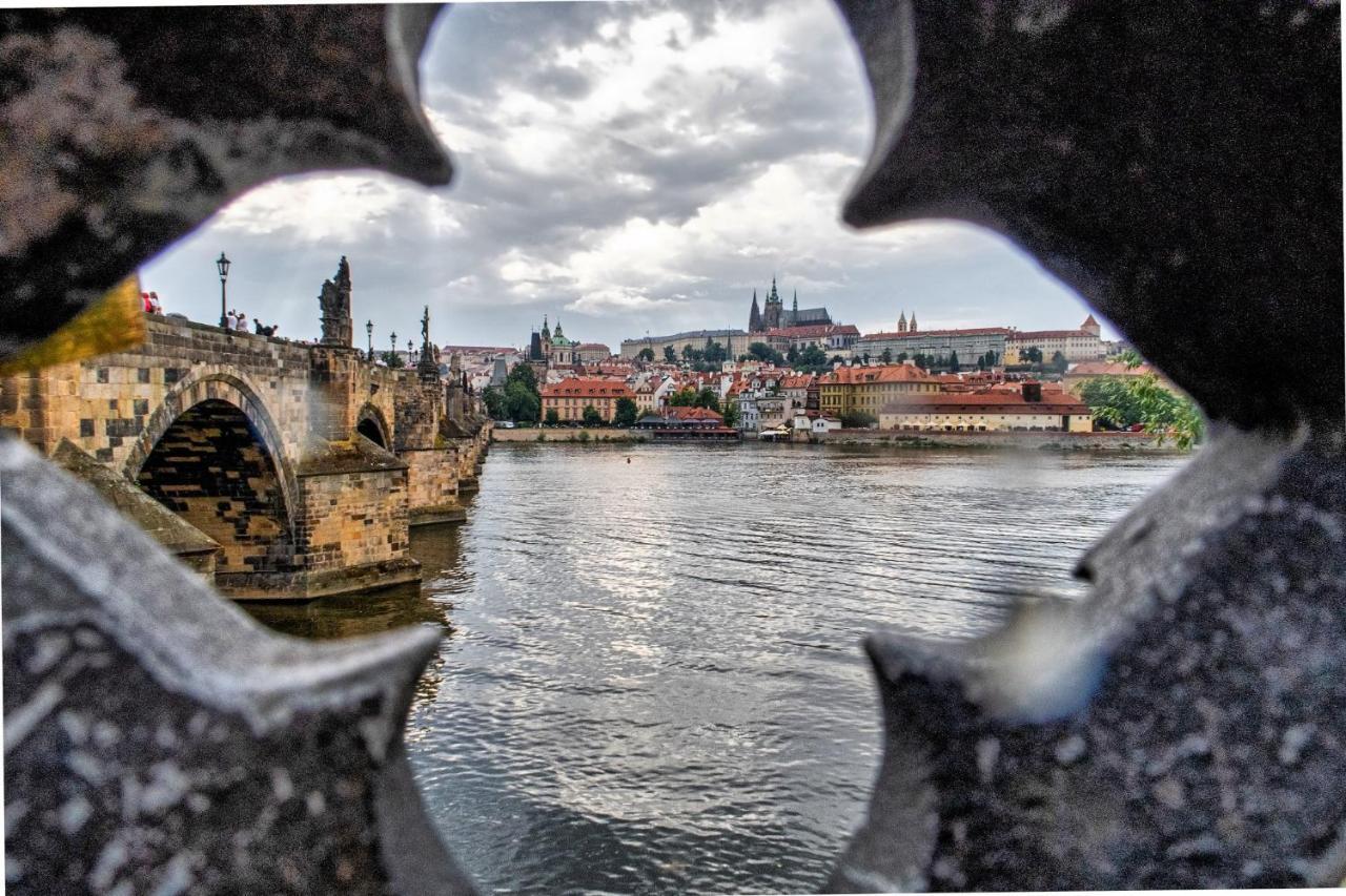 Vltava Daire *
