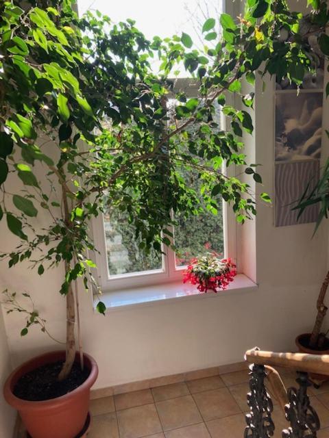 Aparthotel 5 Prague
