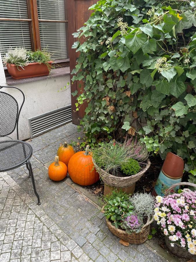 Auberge de jeunesse Little Quarter *