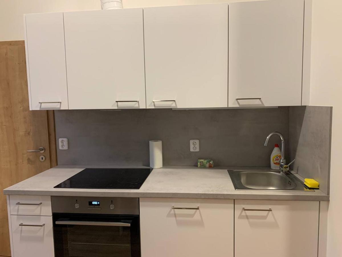Apartment Brand New Prague