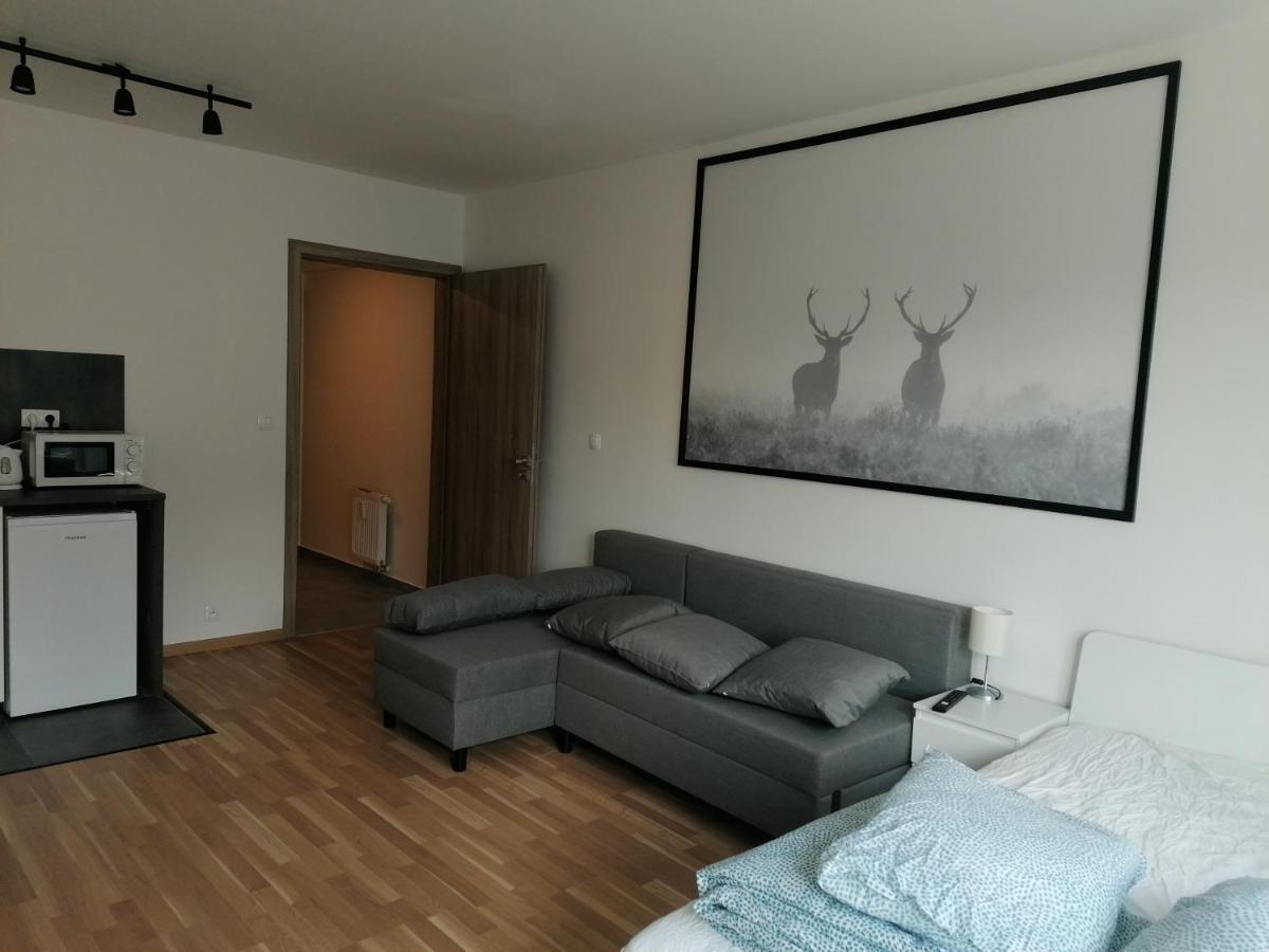 Brand New #31 In Brand New Building With Free Parking In The Center *