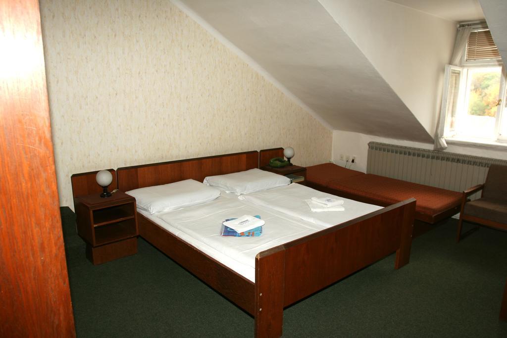 Hotel Michle