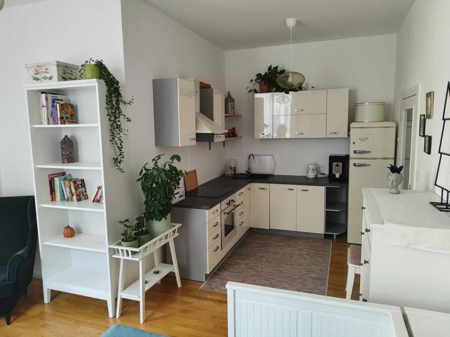Studio With Balcony In Vinohrady Prague