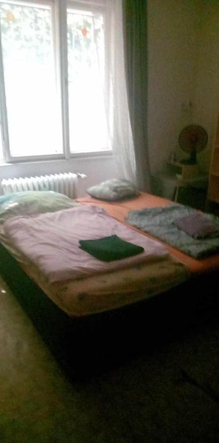 Flat 18 Minutes From Vaclavske Namesti *
