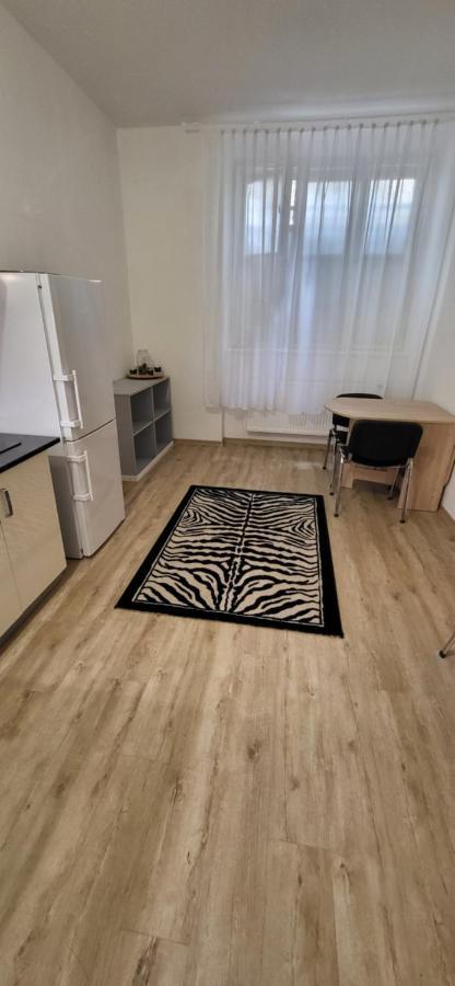 Apartment Vrsovicka Devitka *