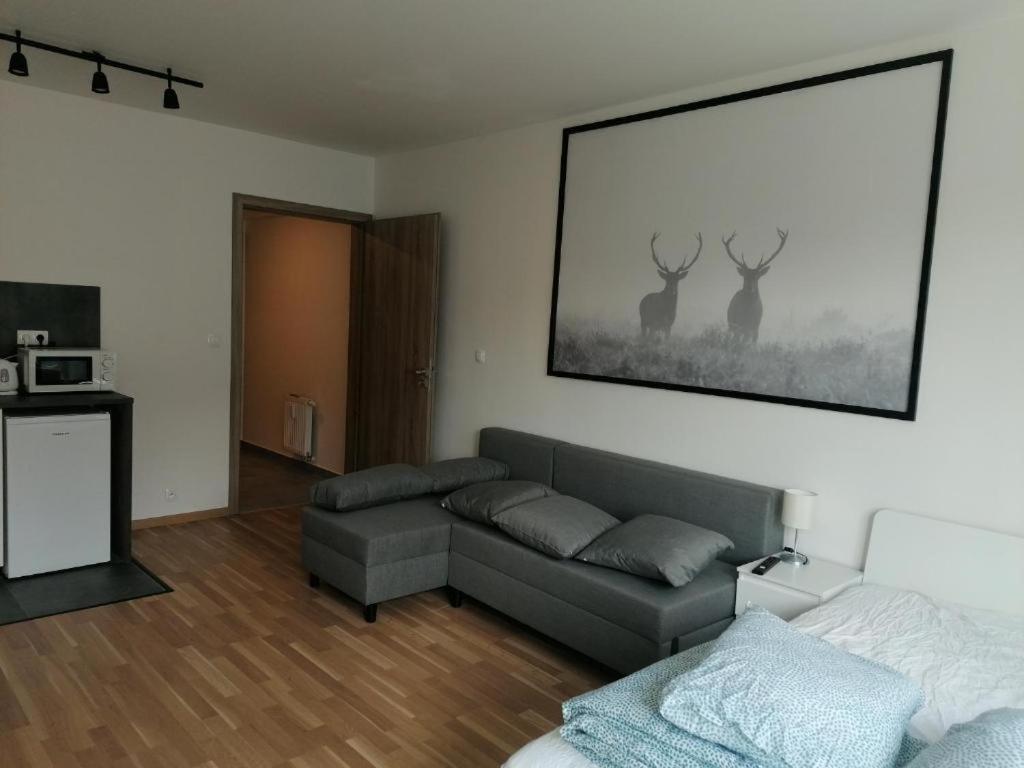 Appartement Brand New #71 With Free Secure Parking In The Center *