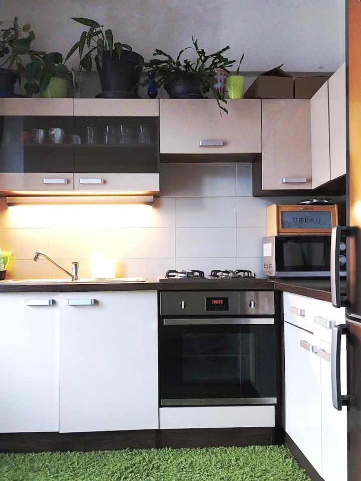 Parking Free One With Netflix In Shared Flat With A Woman In Next And Shared Bathroom And Kitchen No Invoice Hospedagem domiciliar