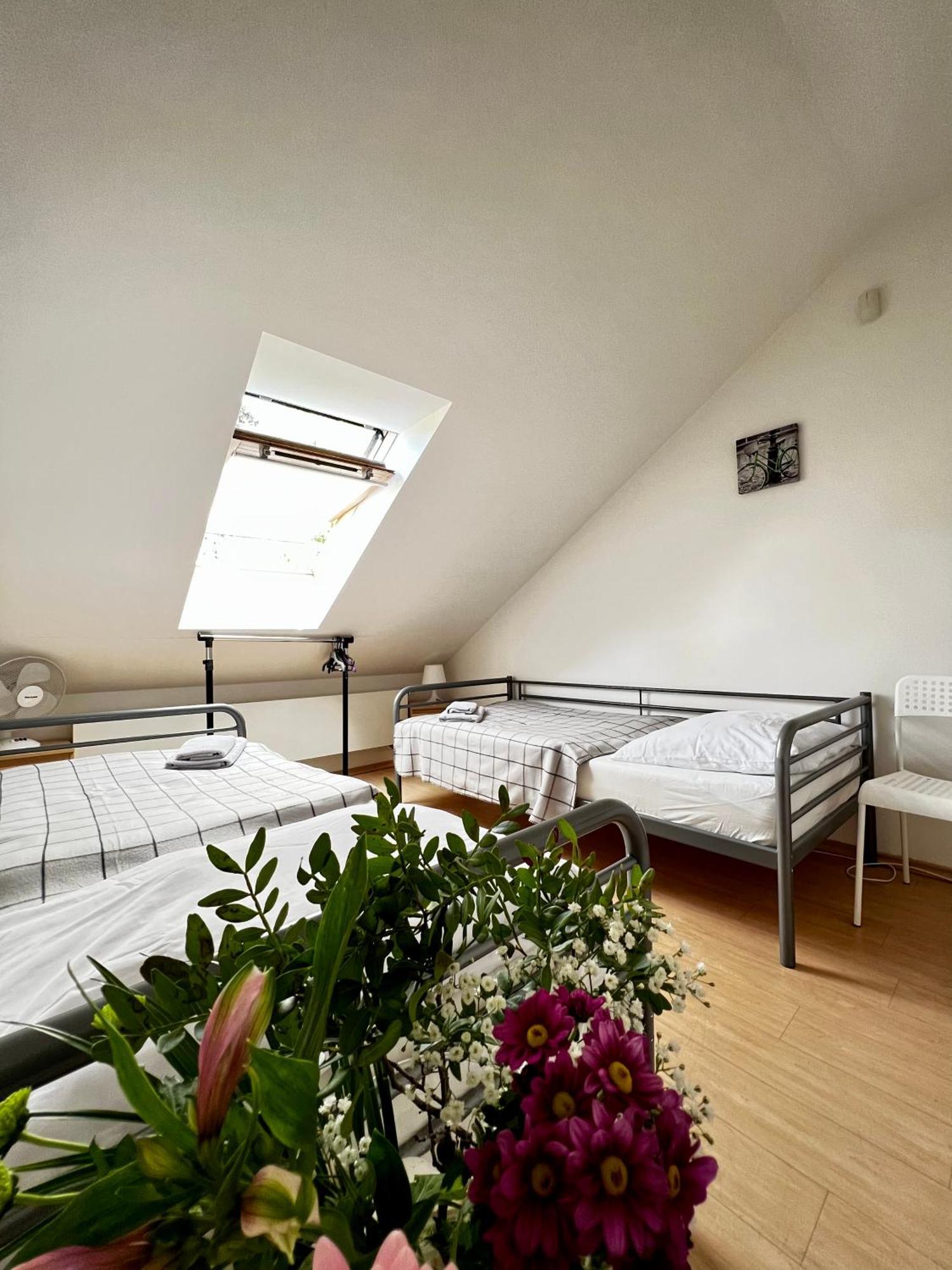 Sofi Guest house 3*