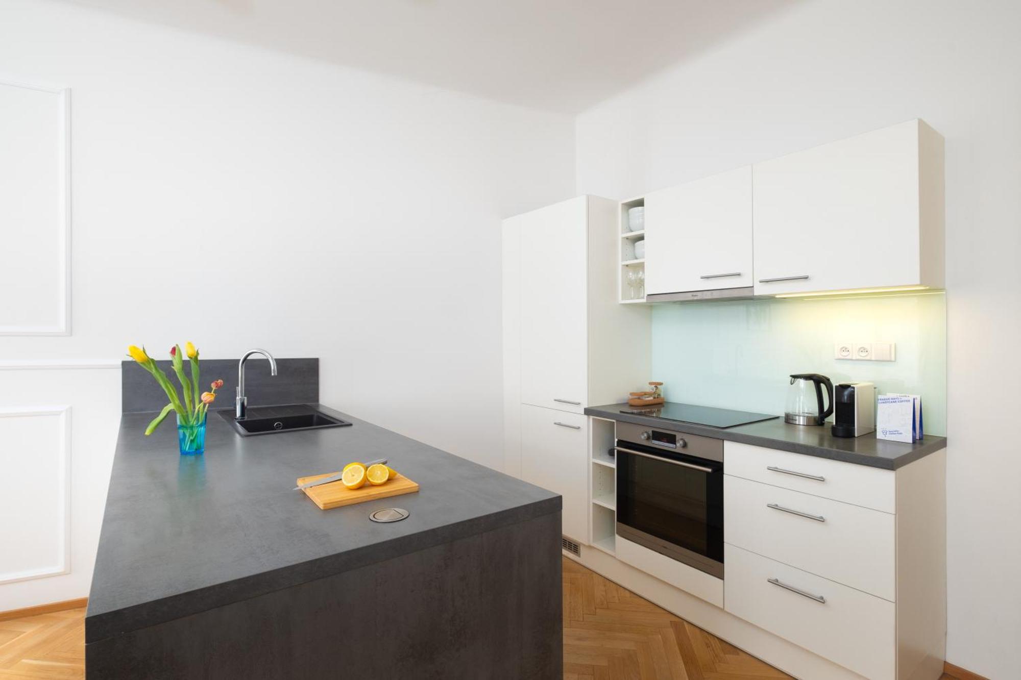 Apartment Stru House By Days - Luxurious Next To National Theatre Prague