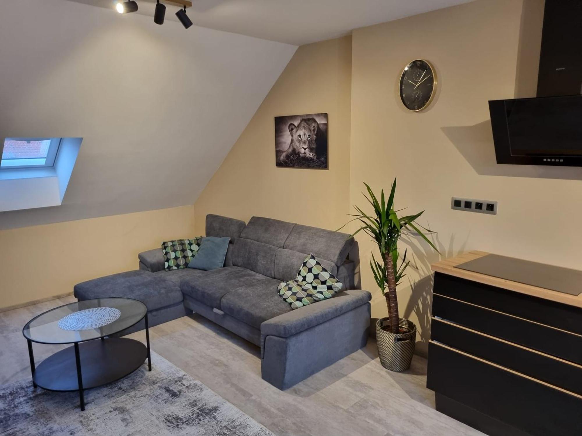 Vltava Design Appartement Prague