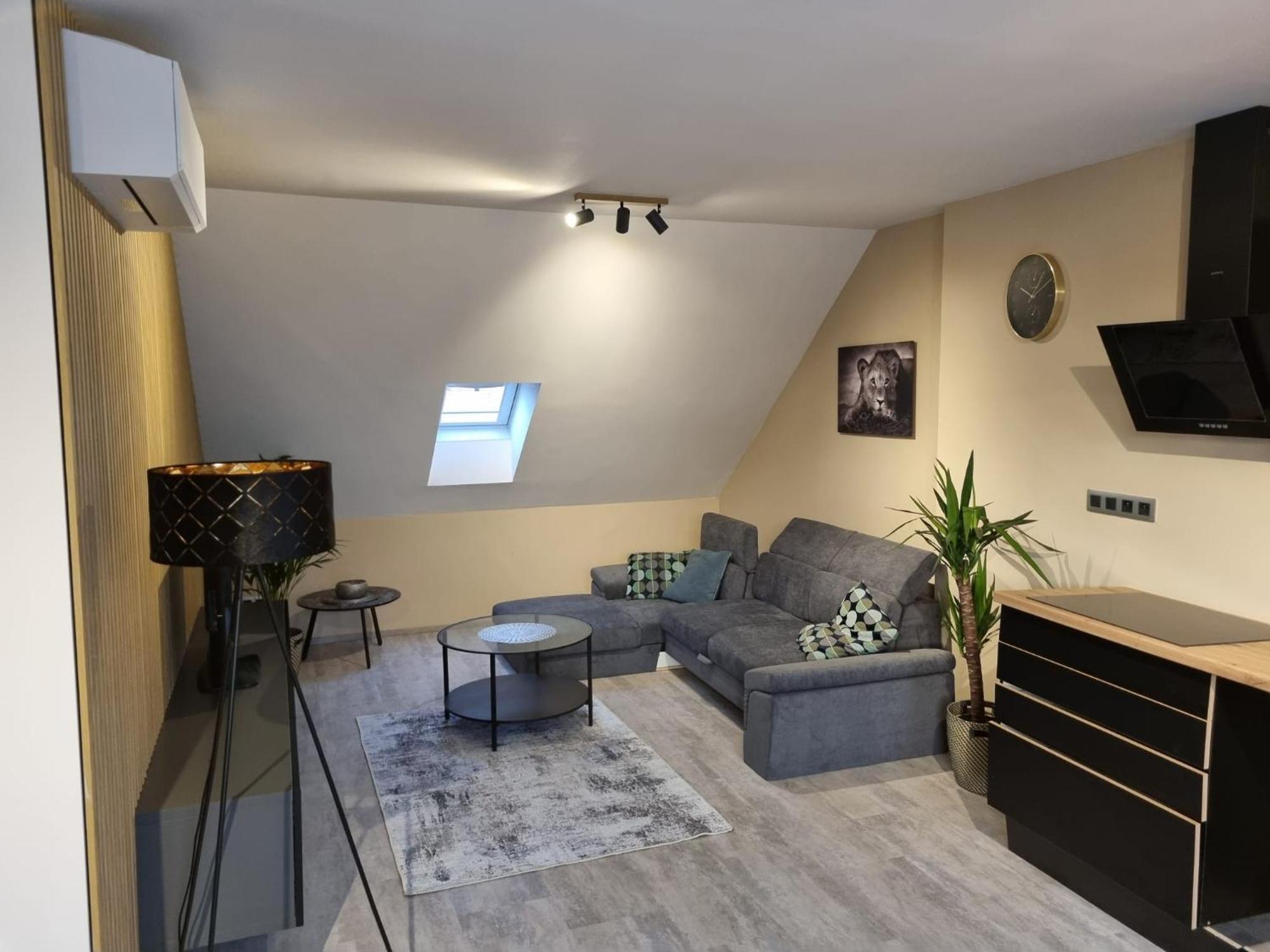 Vltava Design Appartement *