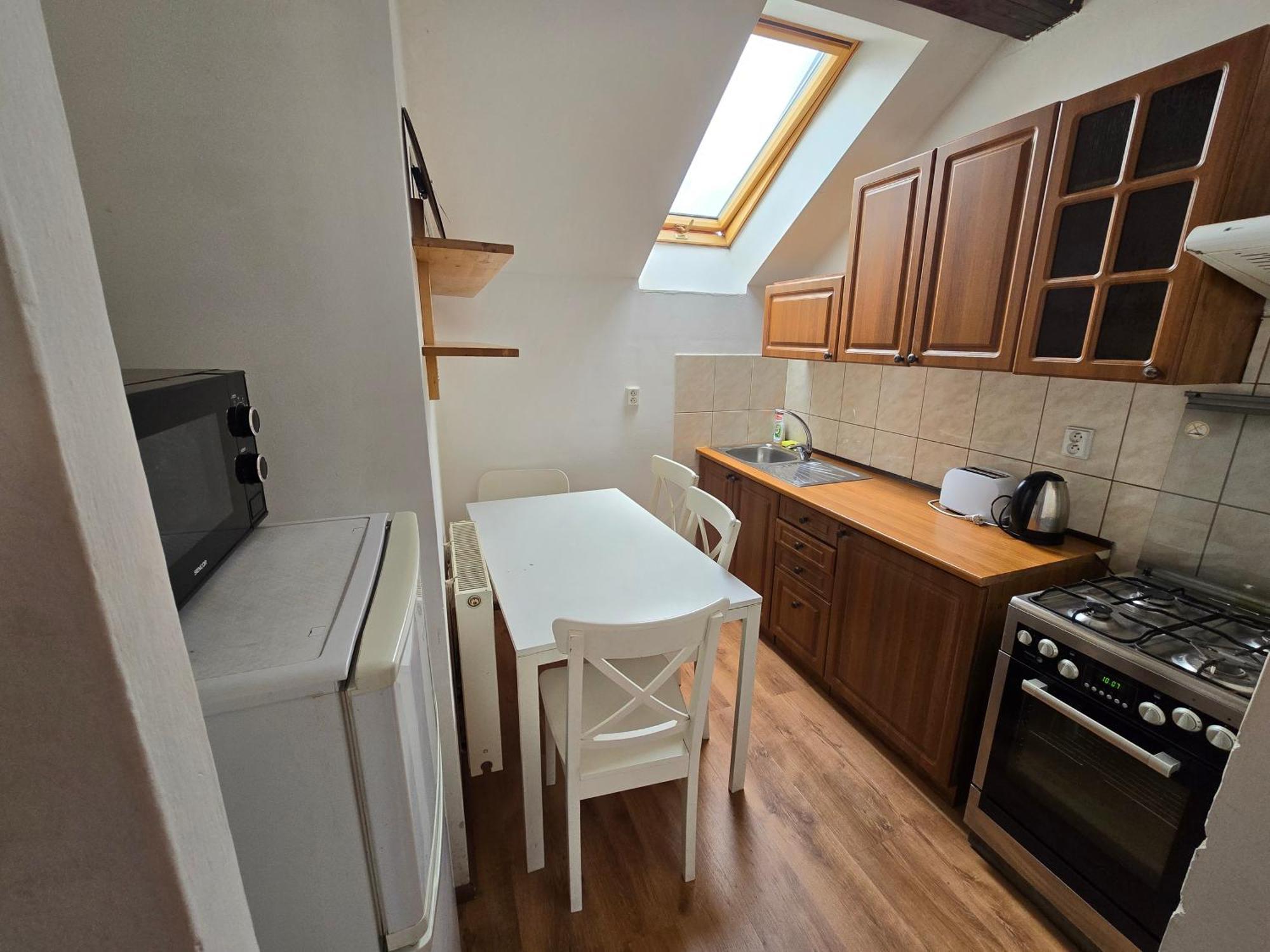Apartamento Zizkov A