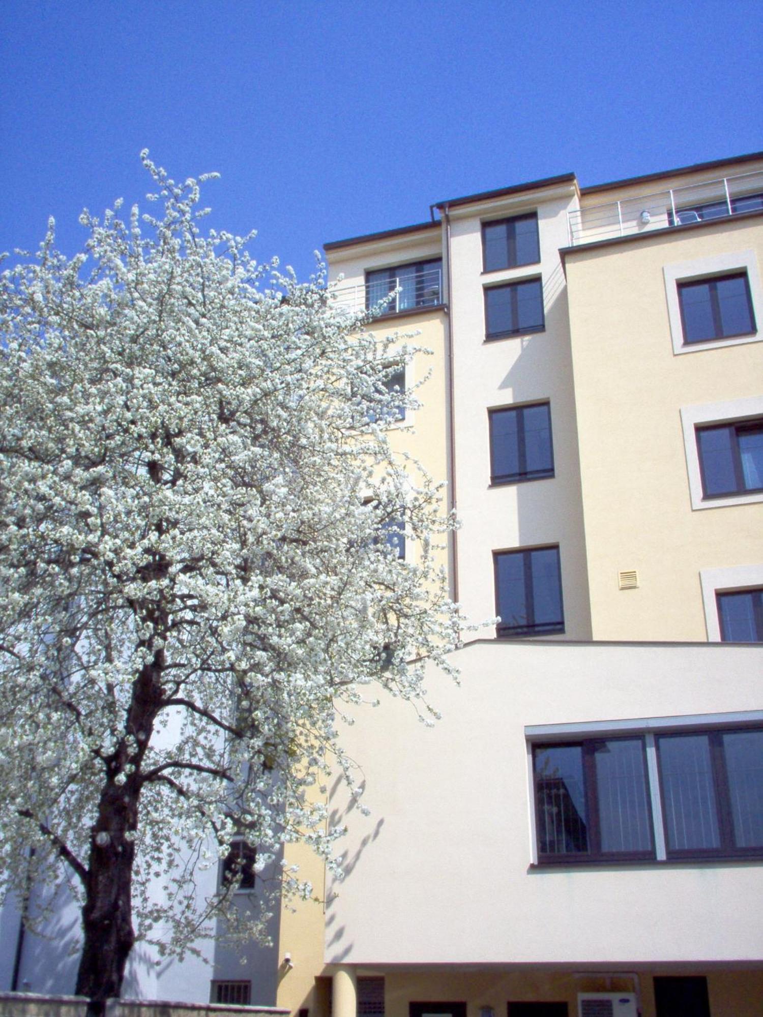 Hotel Coronet