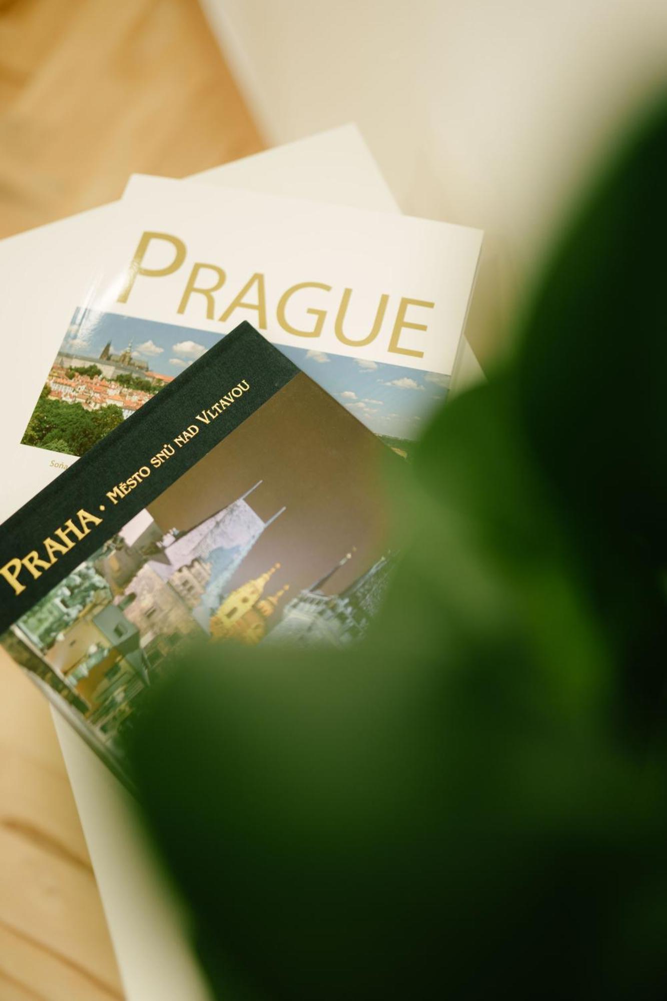 Apartment Godiland Prague