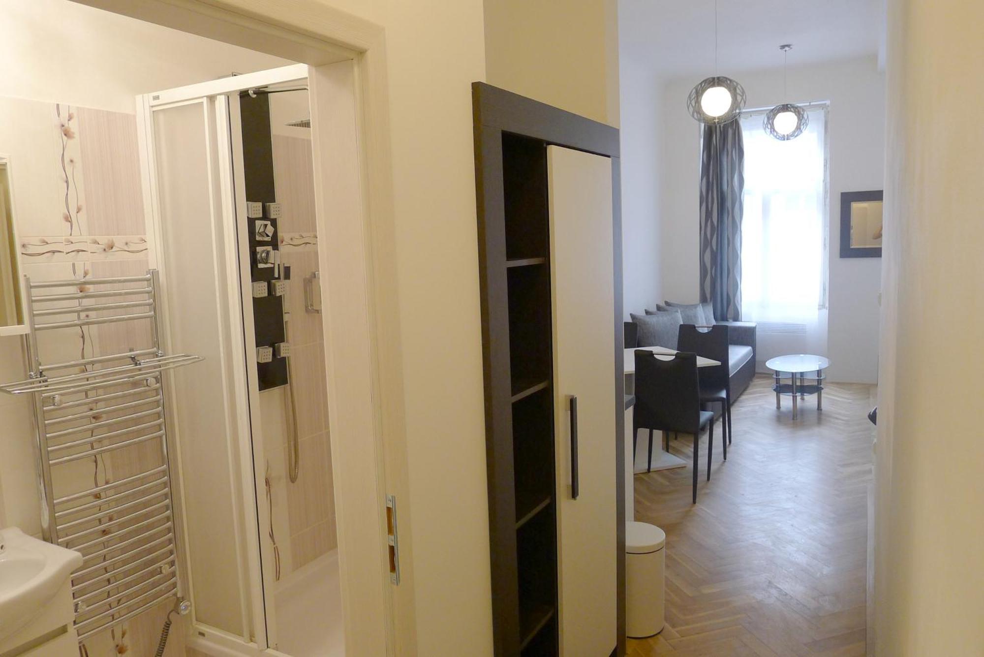 Black & White Apartment Prague By Wenceslas Square And Muzeum Prague