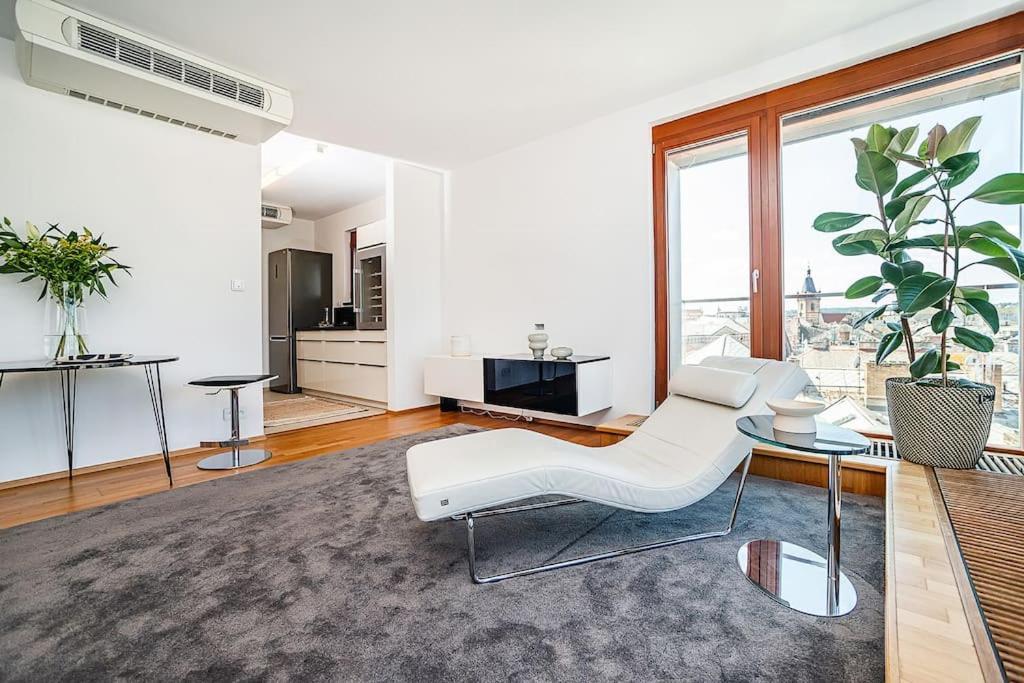 Apartment Shiny Rooftop With Free Garage