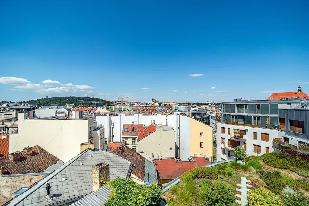 Apartment Shiny Rooftop With Free Garage *