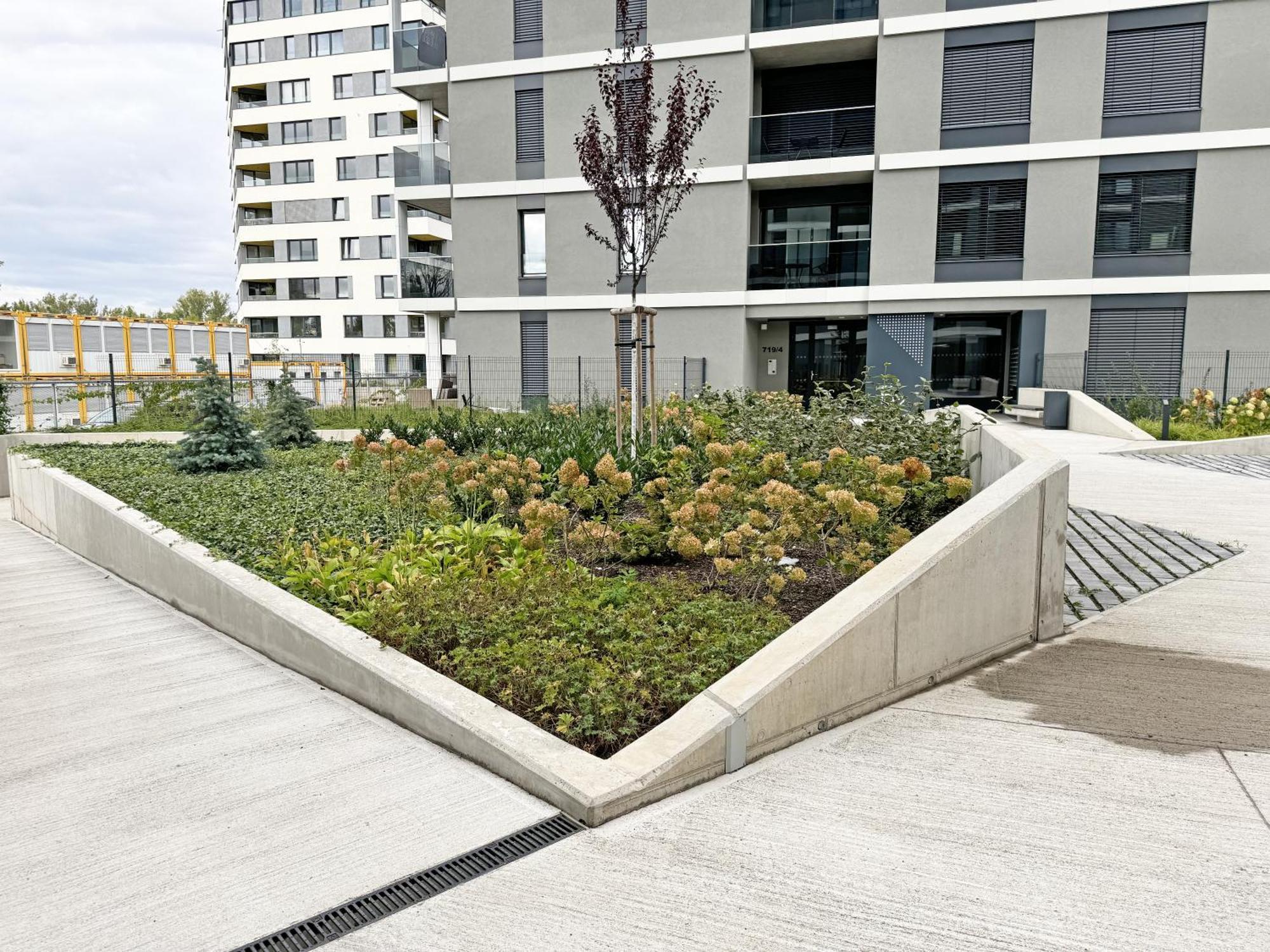 Apartamento New Studio, King Bed, Free Parking, Terrace *