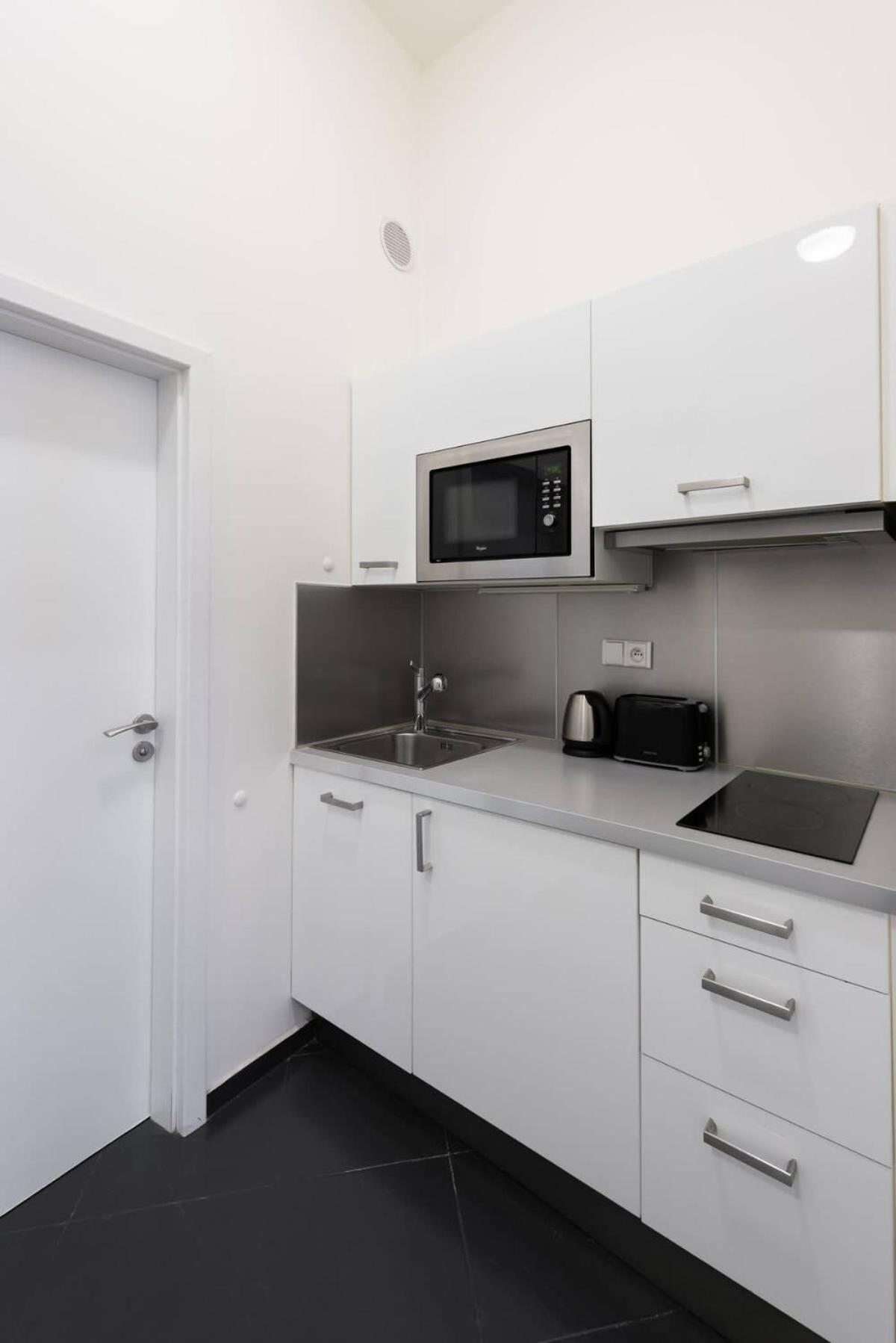 Daire Elegant Spacious Old Town Prag