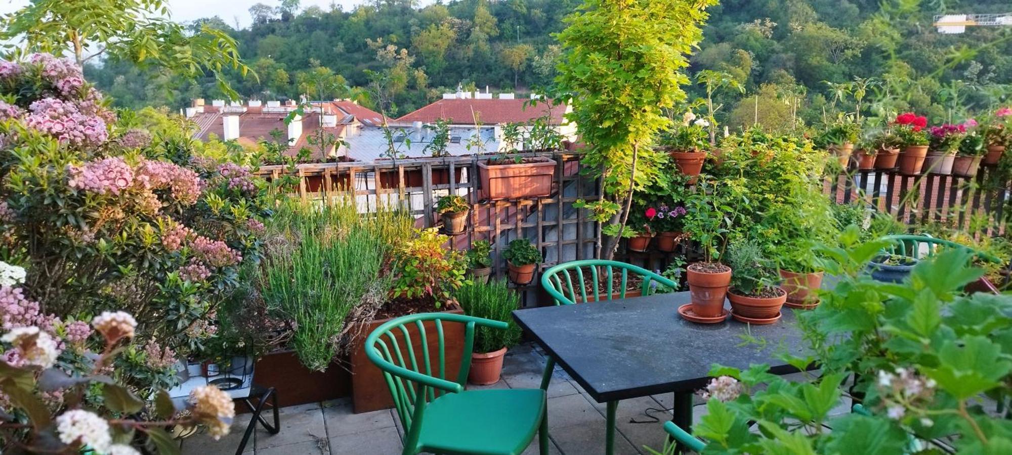 Guestrooms, Rooftop With Garden, Spacious Living Room, Character And Fireplace * Praga