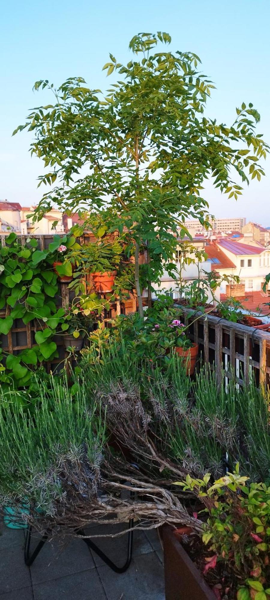 Casa de hóspedes Guestrooms, Rooftop With Garden, Spacious Living Room, Character And Fireplace