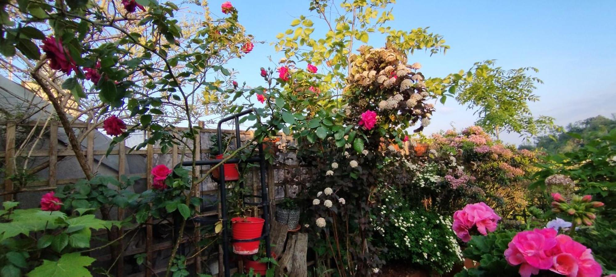 Guestrooms, Rooftop With Garden, Spacious Living Room, Character And Fireplace * Praga