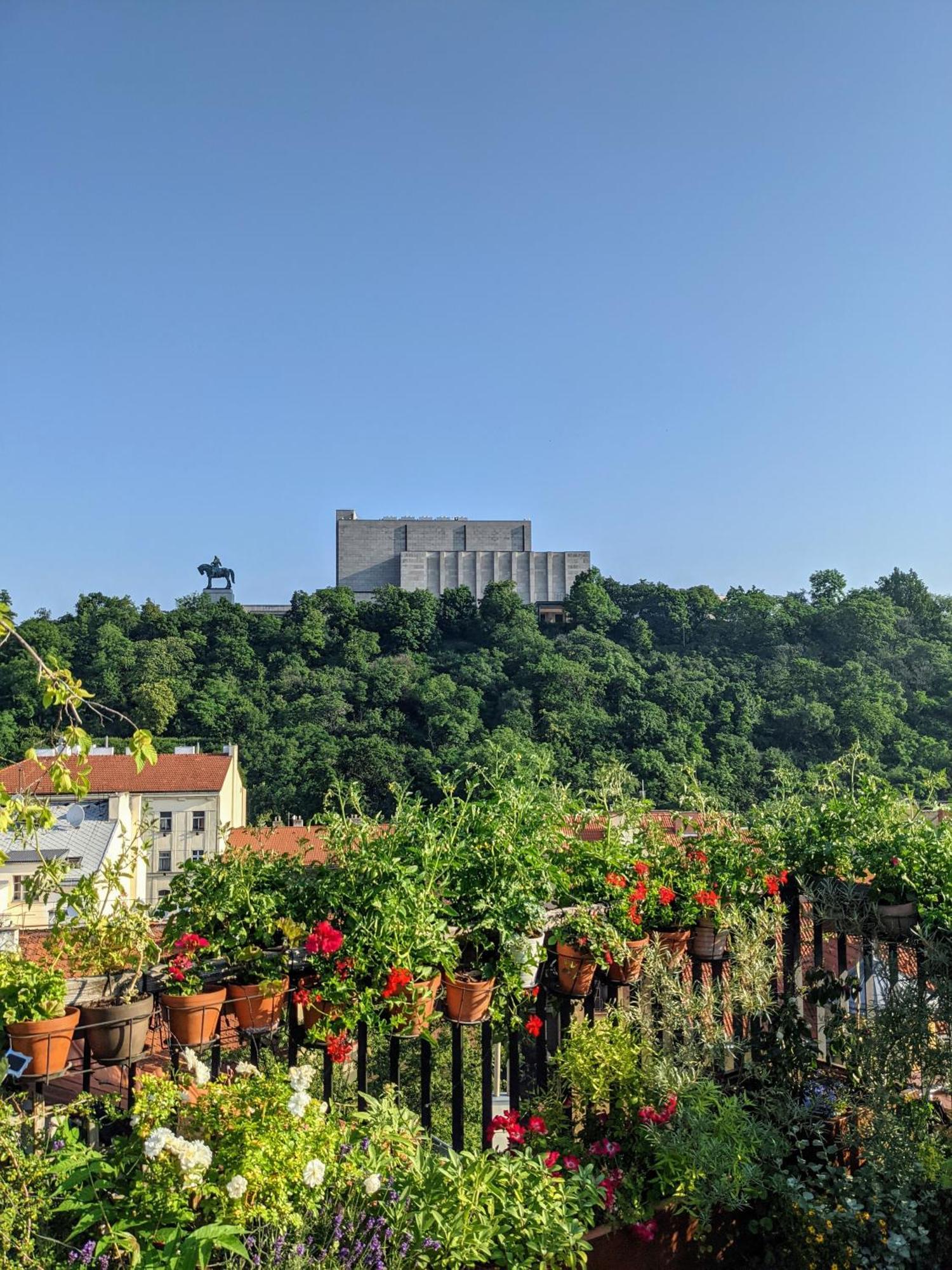 Guestrooms, Rooftop With Garden, Spacious Living Room, Character And Fireplace * Praga