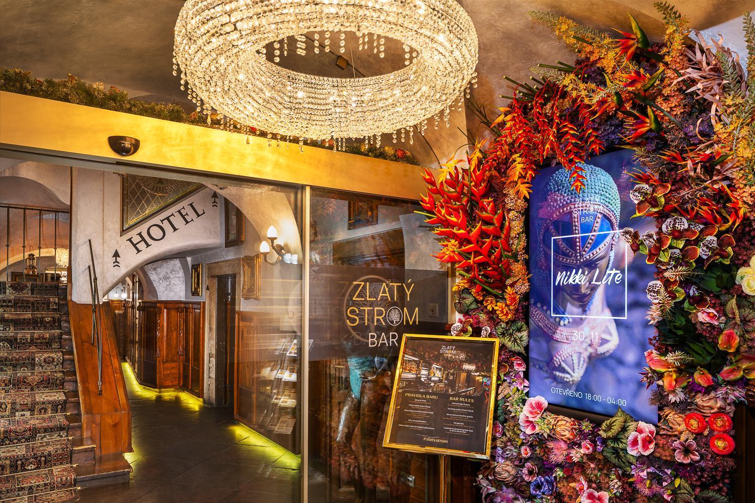 U Zlateho Stromu Hotel