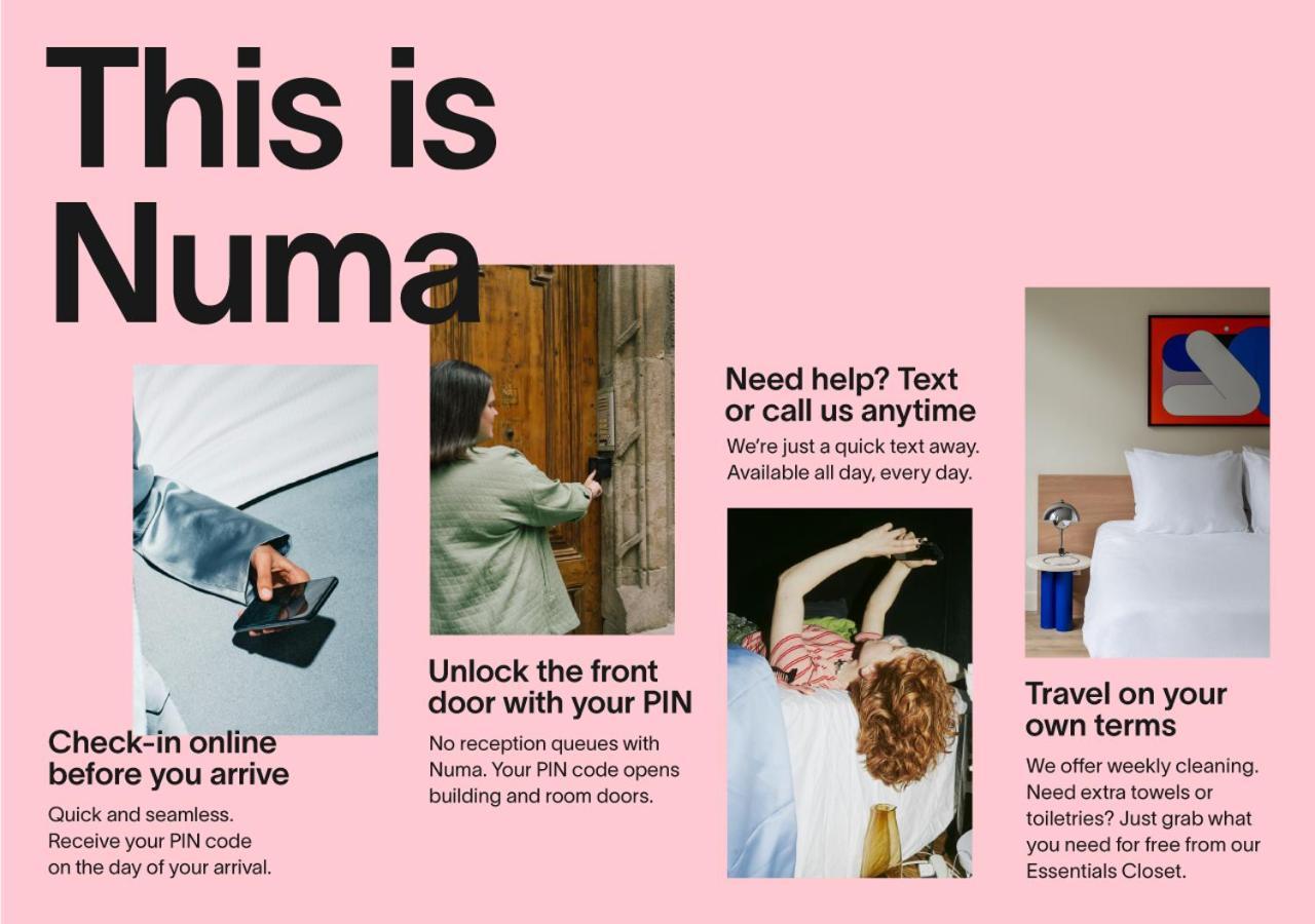 Numa Libusa *