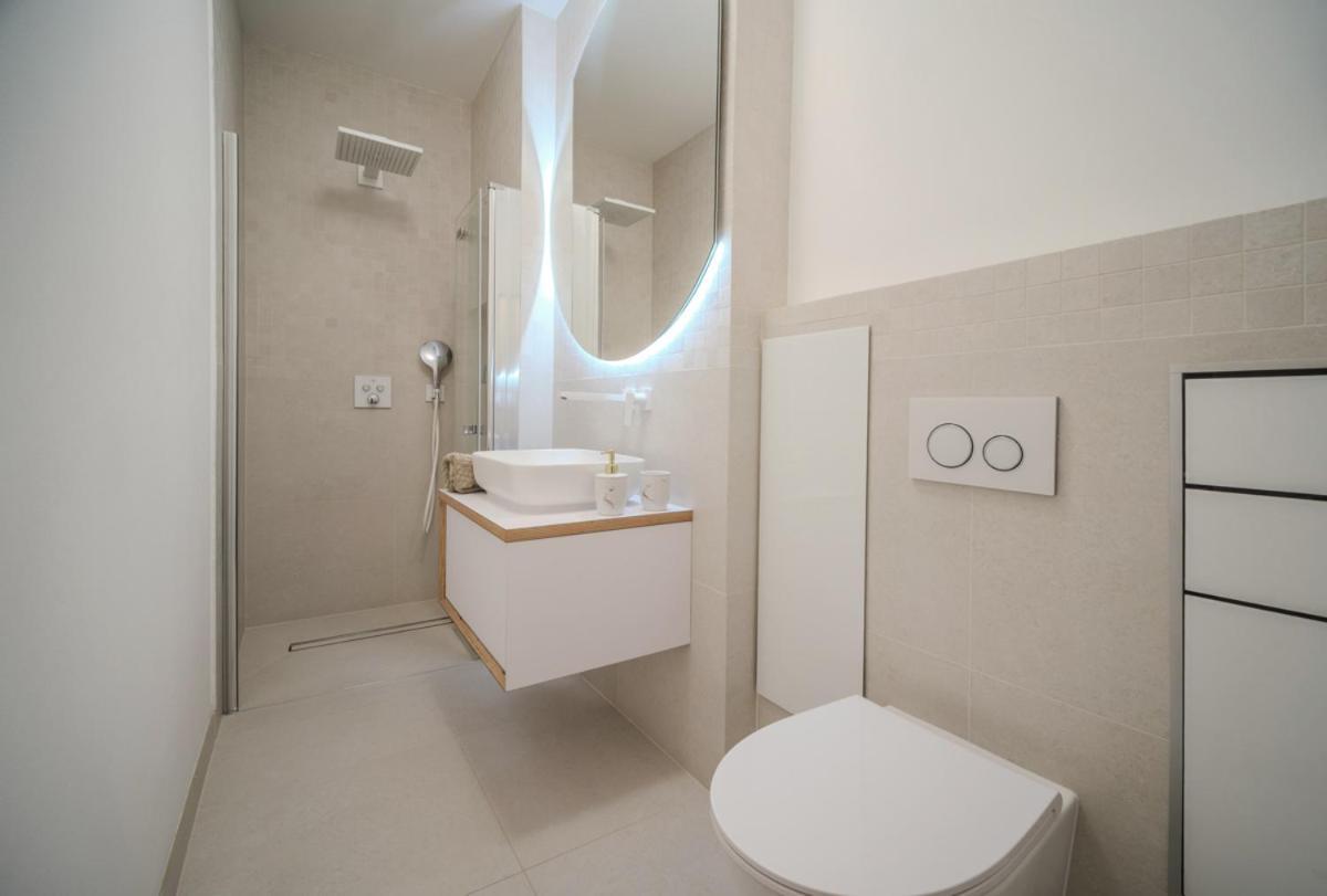 V Srdci Prahy Appartement Prague