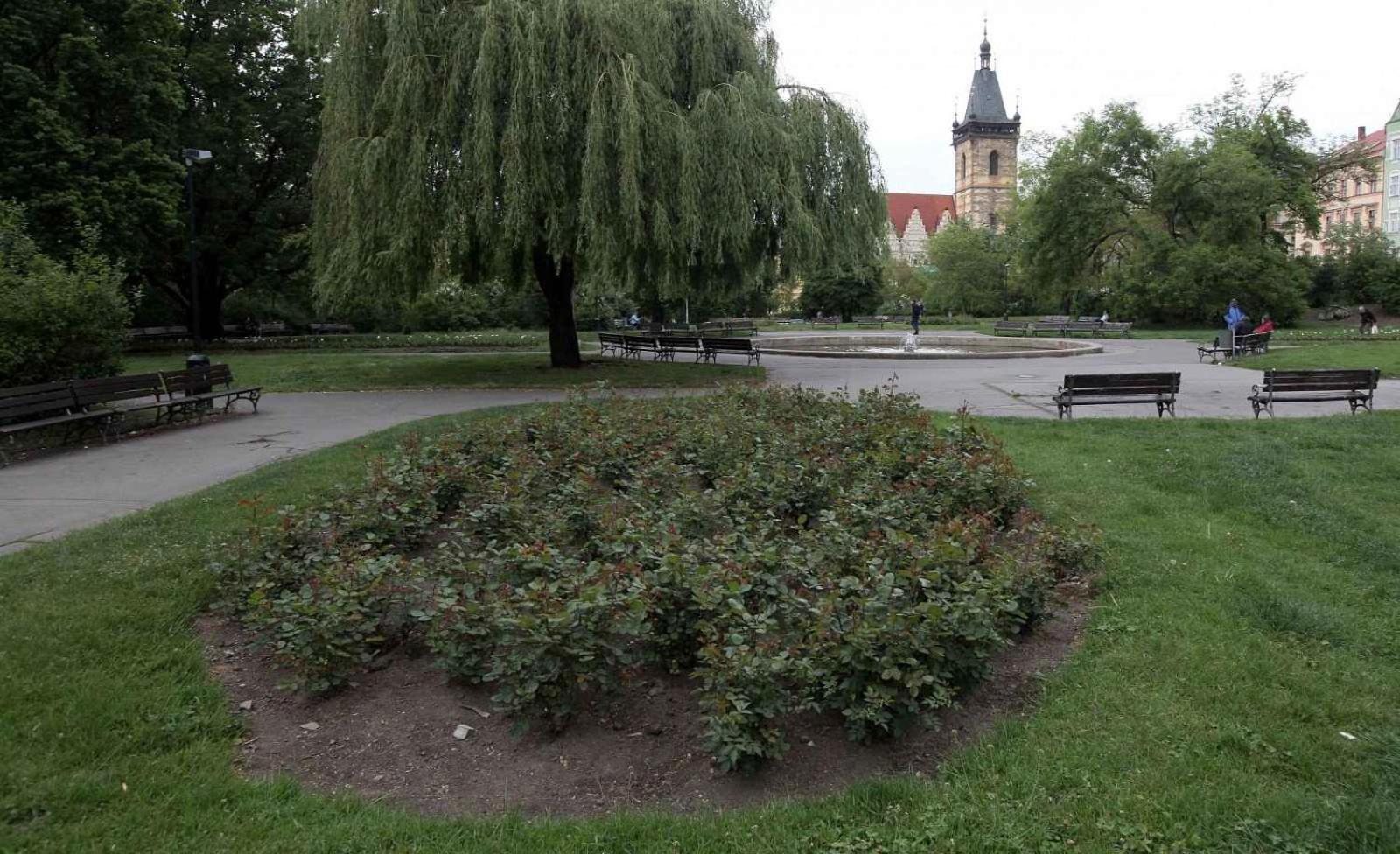 Apartment Cosy On Charles Square Prag