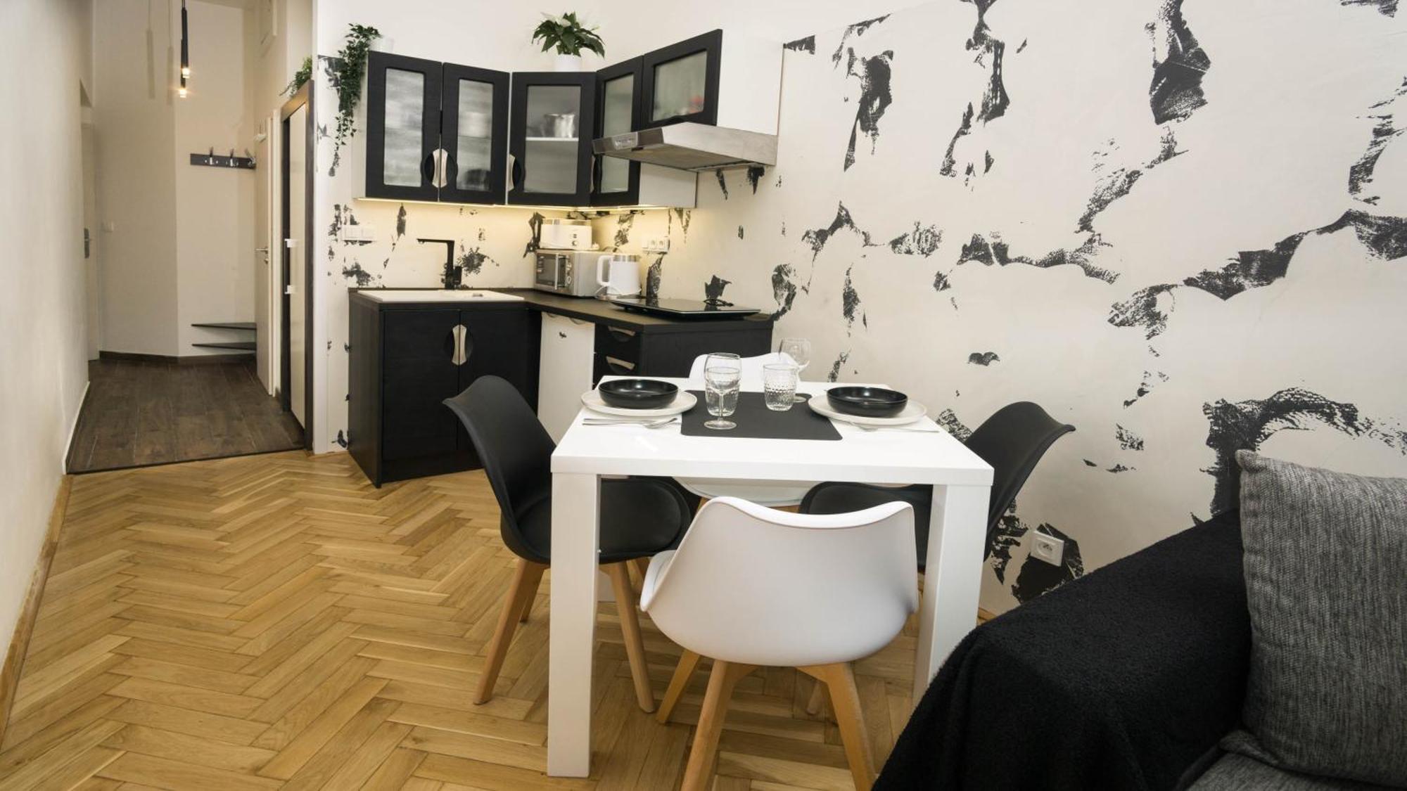 Apartment Black & White Apartment Prague By Wenceslas Square And Muzeum Prague